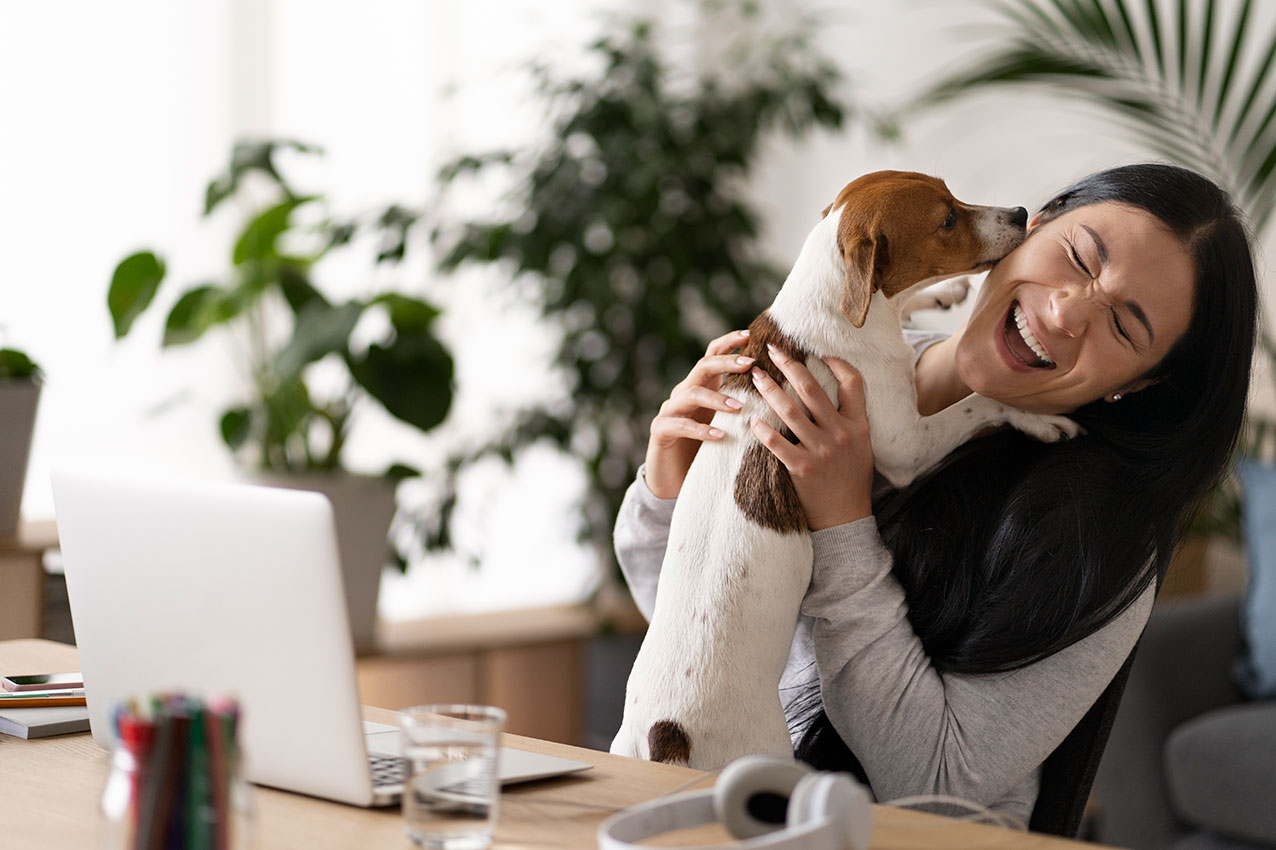 Bürohund