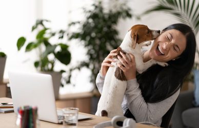 Bürohund